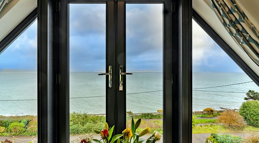 Photo of The Bay Dreams