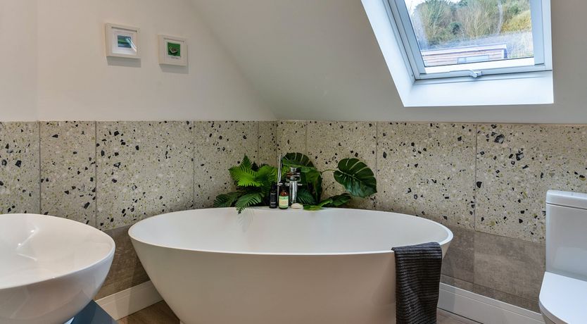 Photo of The Bay Dreams