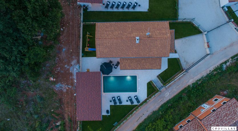 Photo of Blue Nights