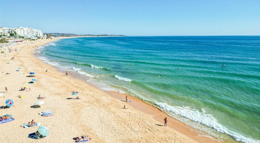 Photo of The Green Horizon