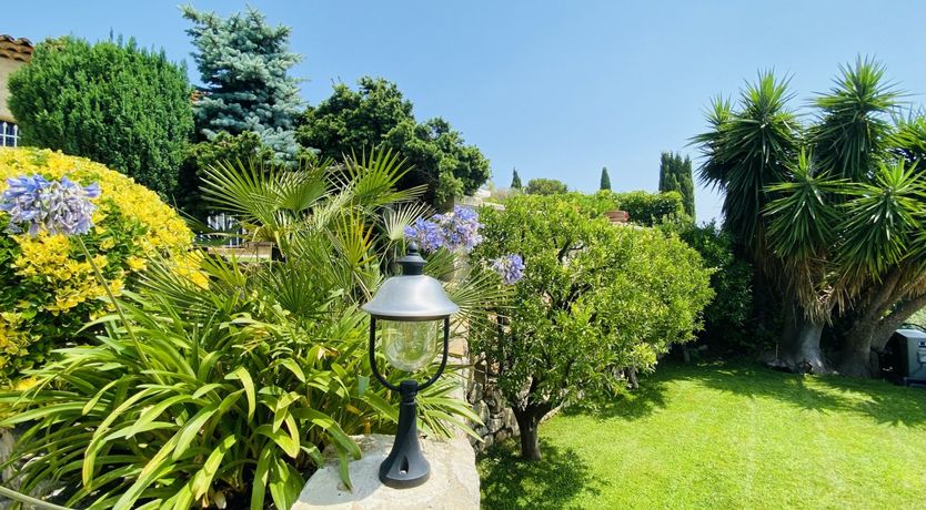 Photo of Carignan Charm