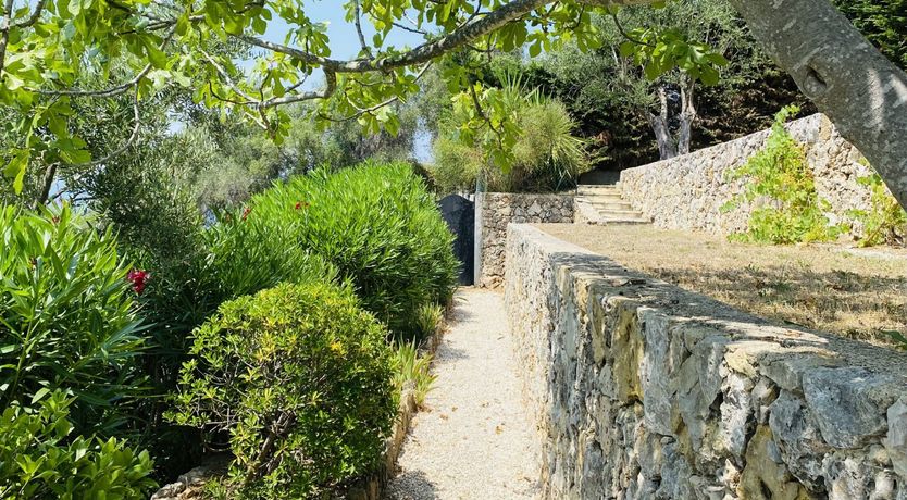 Photo of Carignan Charm