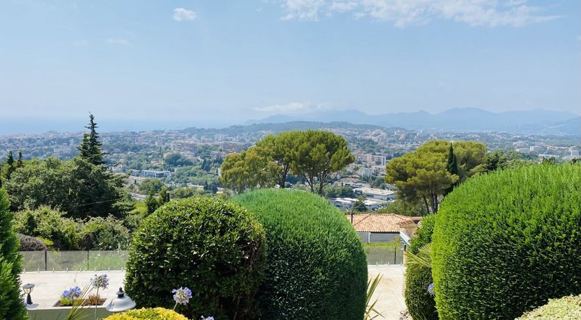 Photo of Carignan Charm