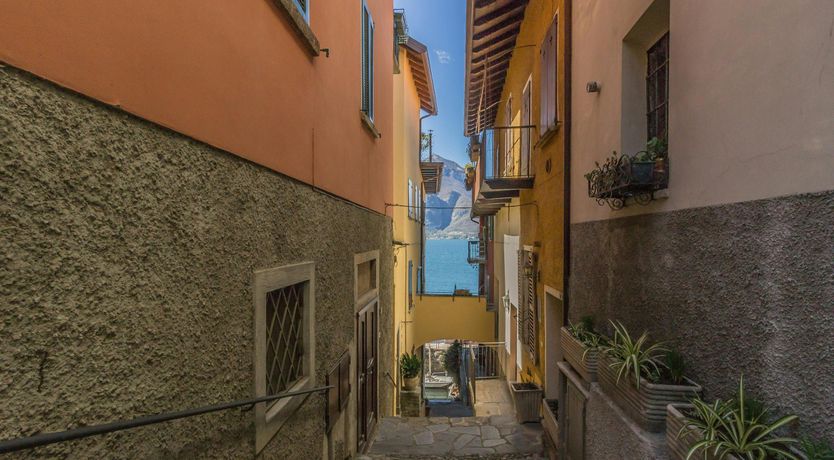 Photo of Flower of the Lake