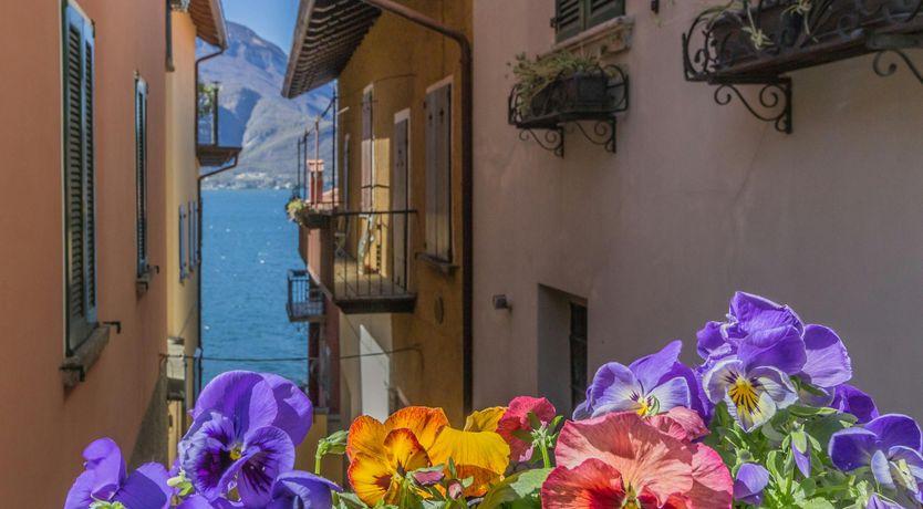 Photo of Flower of the Lake