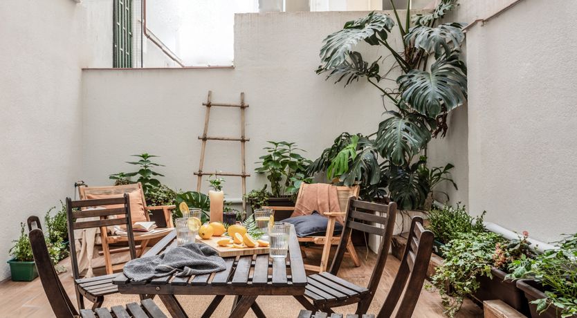 Photo of Goya's Garden