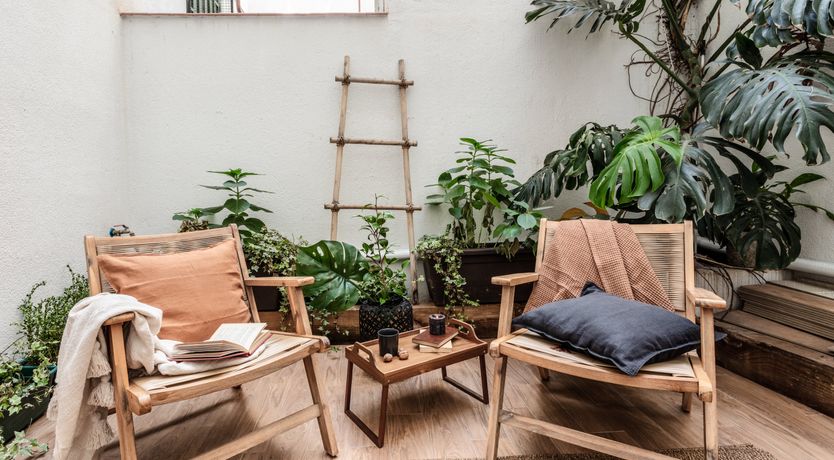 Photo of Goya's Garden