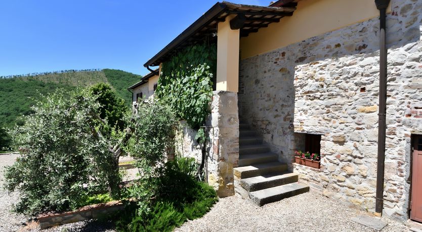 Photo of Olive & Olive Wood