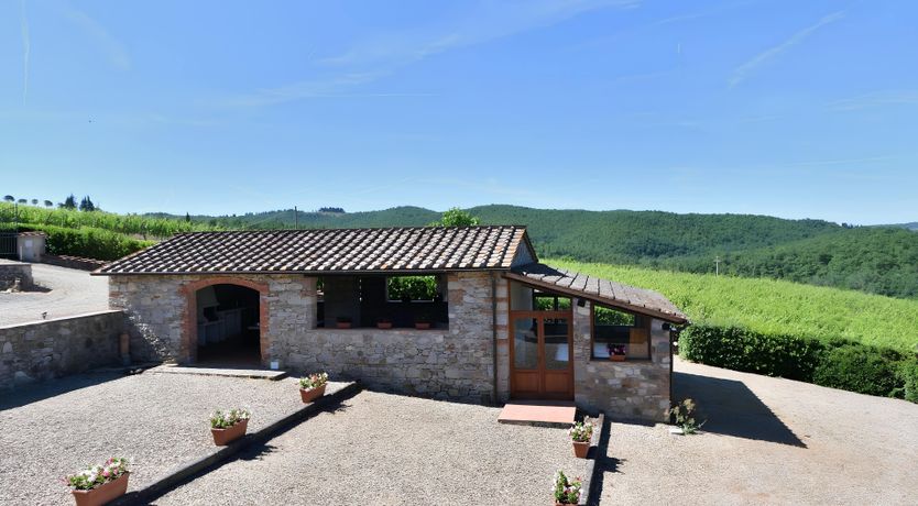 Photo of Olive & Olive Wood