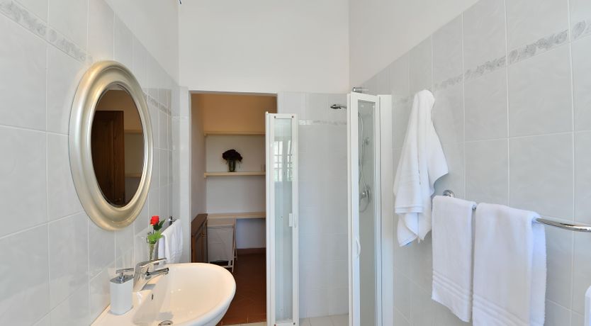 Photo of Olive & Olive Wood