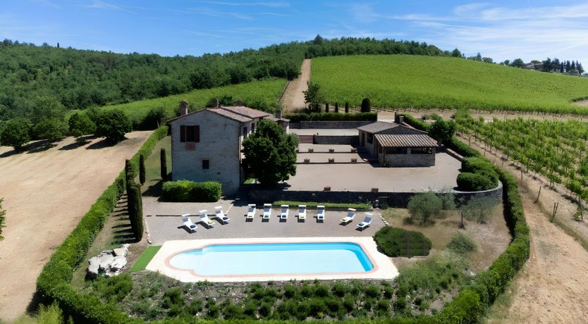 Photo of Olive & Olive Wood