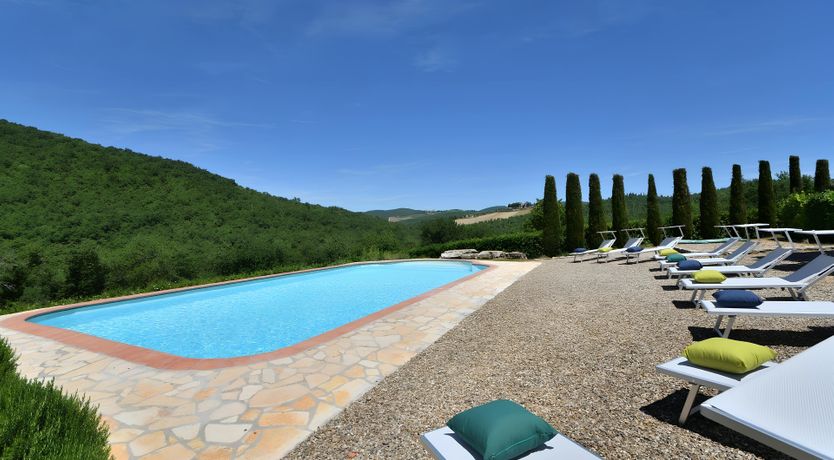 Photo of Olive & Olive Wood