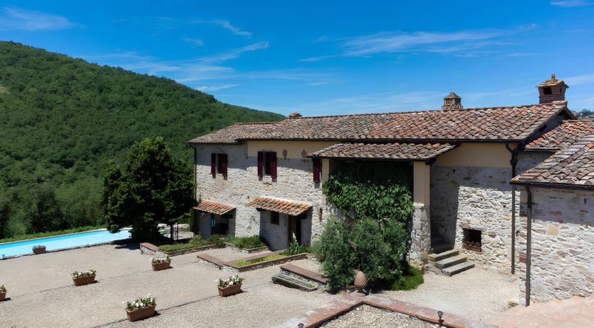 Photo of Olive & Olive Wood