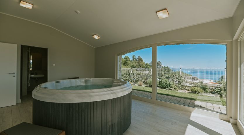 Photo of Blue Feather