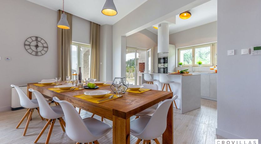 Photo of Blue Feather