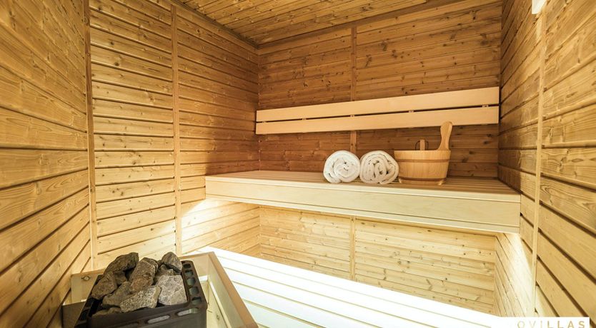 Photo of Blue Feather