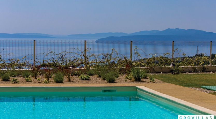 Photo of Blue Feather