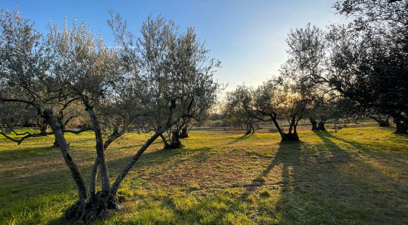 Photo of The Uszdžeg