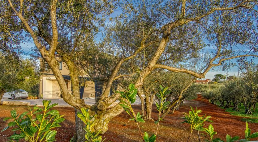 Photo of The Uszdžeg