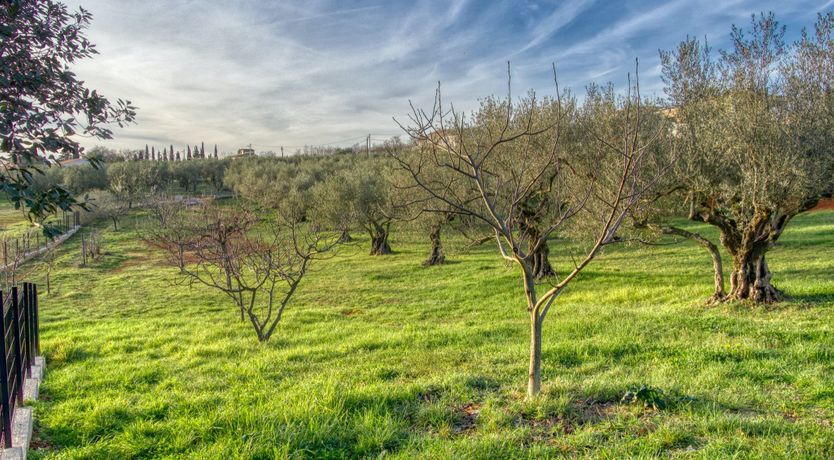 Photo of The Uszdžeg