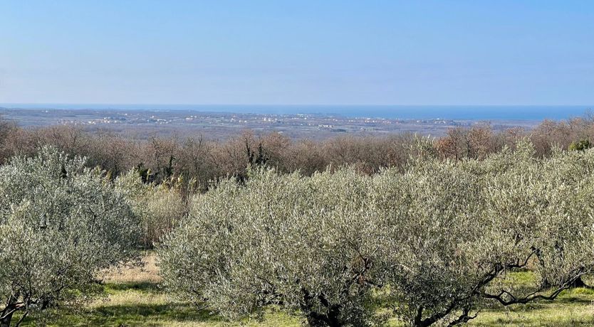 Photo of The Uszdžeg