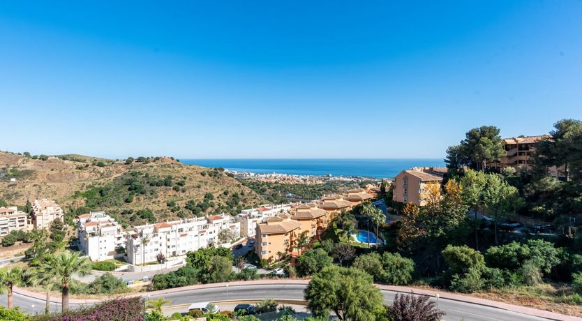 Photo of Sunshine & Vines