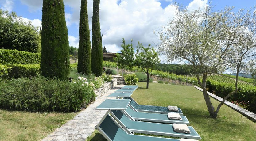 Photo of The Olive Dawn