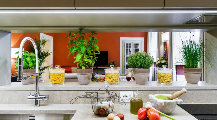 Photo of Florentine Flair