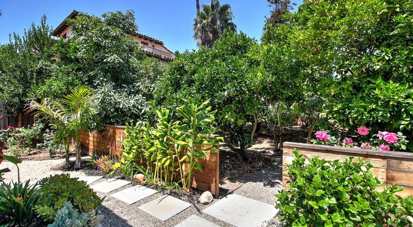 Photo of A Sunset Dream