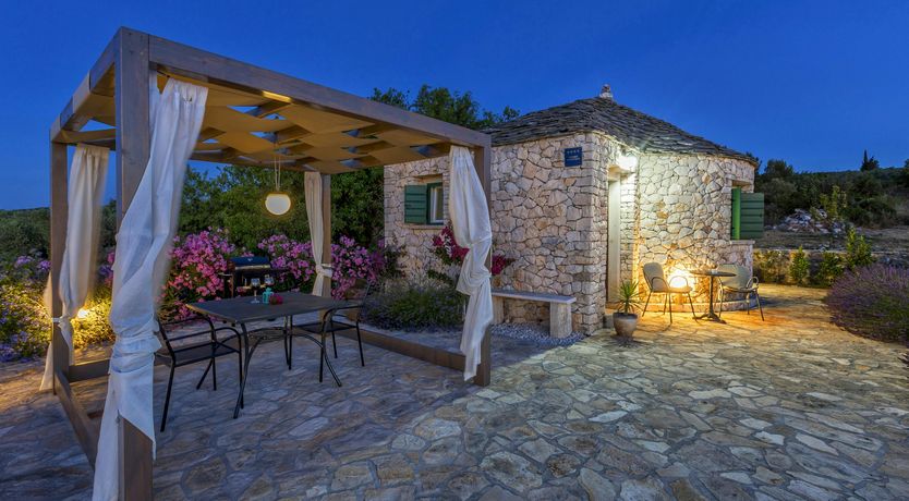 Photo of A Nest of Dolphins