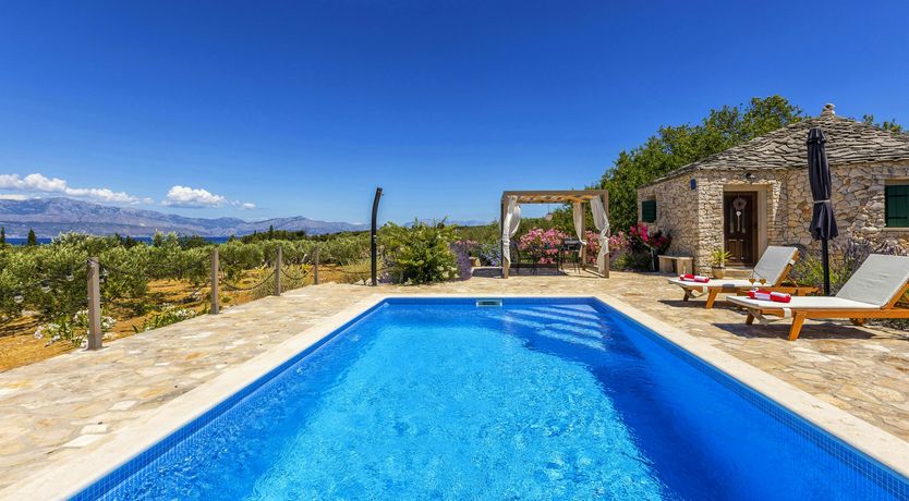 Photo of A Nest of Dolphins