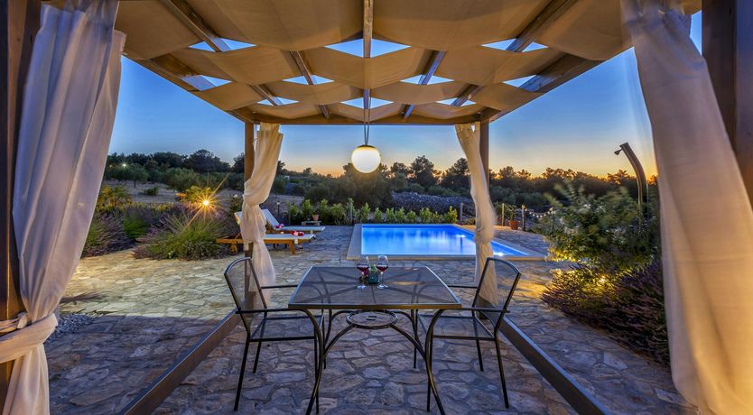 Photo of A Nest of Dolphins