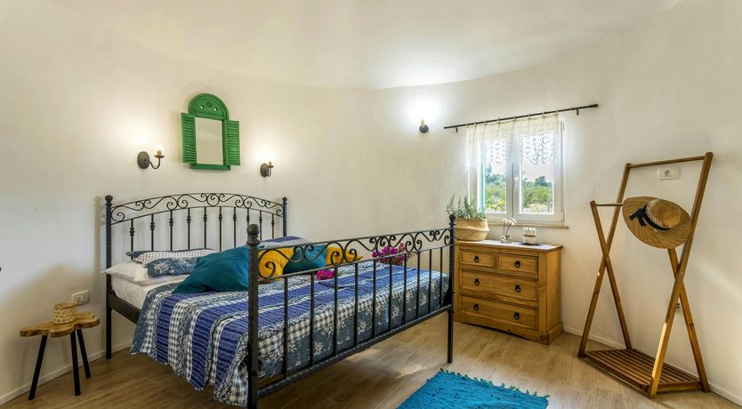 Photo of A Nest of Dolphins