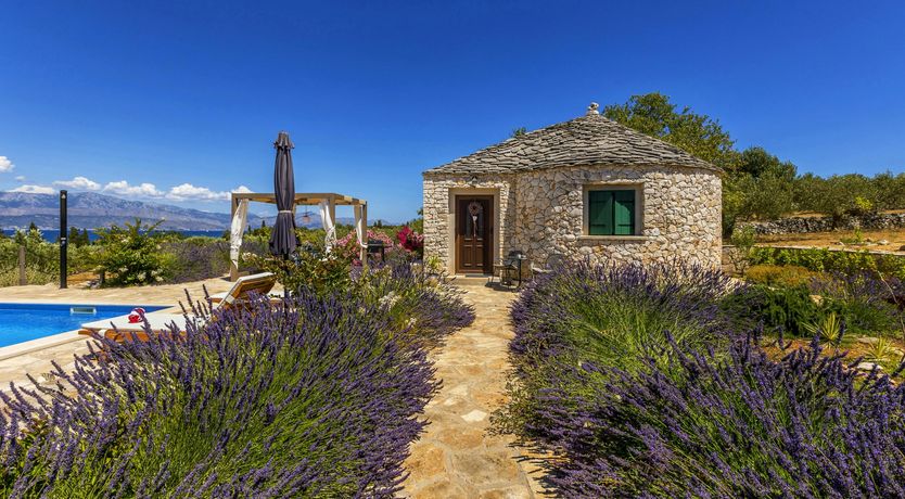 Photo of A Nest of Dolphins