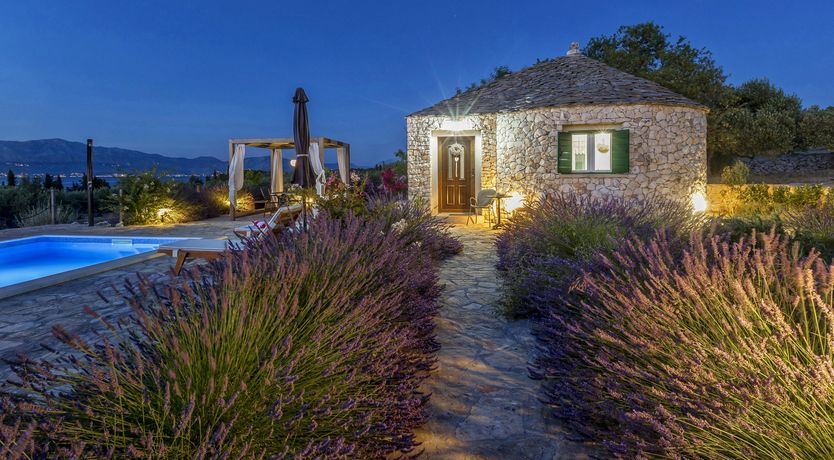 Photo of A Nest of Dolphins