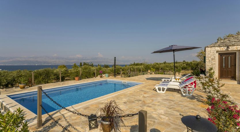 Photo of A Nest of Dolphins