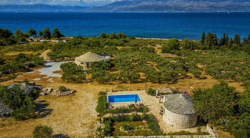 Photo of A Nest of Dolphins