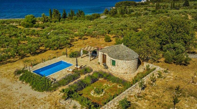 Photo of A Nest of Dolphins