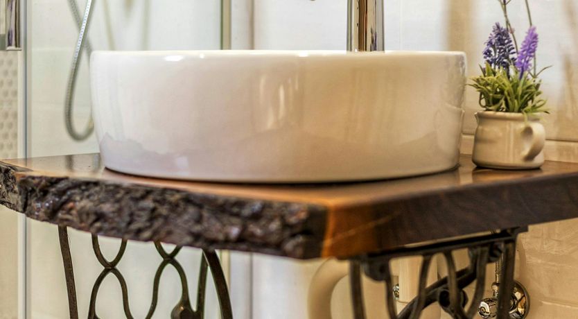 Photo of A Nest of Dolphins