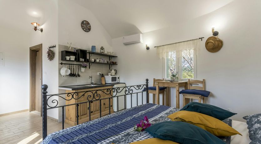 Photo of A Nest of Dolphins