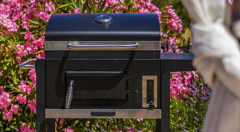 Photo of A Nest of Dolphins