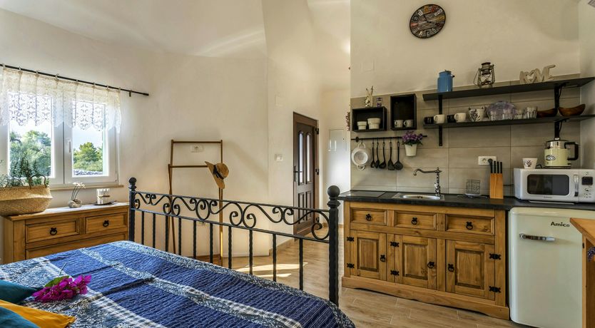 Photo of A Nest of Dolphins