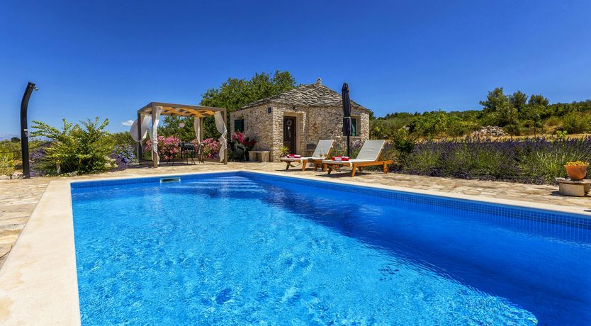 Photo of A Nest of Dolphins