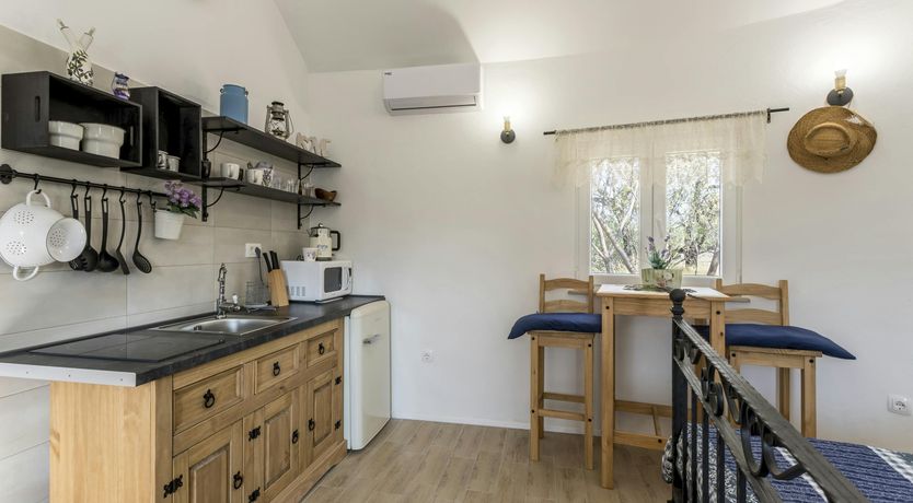 Photo of A Nest of Dolphins