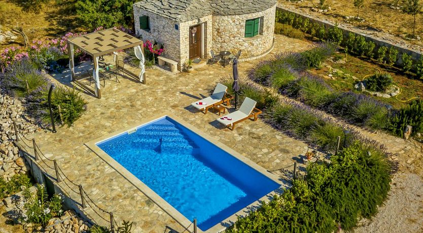 Photo of A Nest of Dolphins