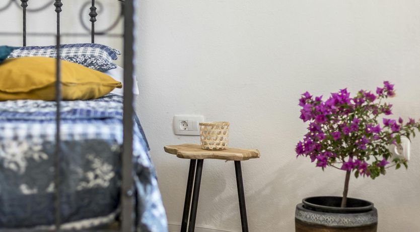 Photo of A Nest of Dolphins