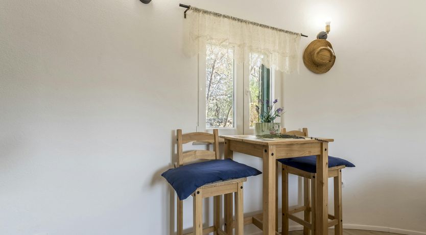 Photo of A Nest of Dolphins