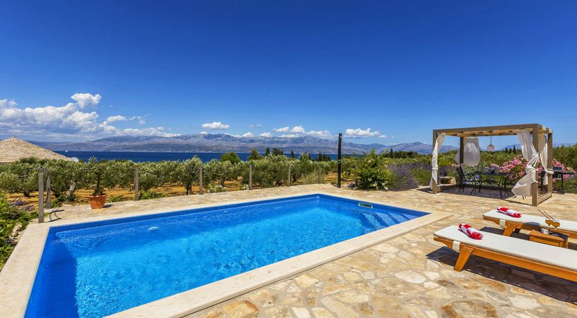 Photo of A Nest of Dolphins