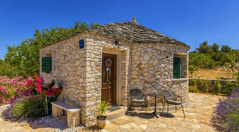 Photo of A Nest of Dolphins