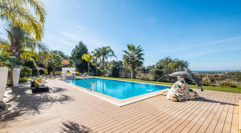 Photo of The Sun-Kissed Pearl